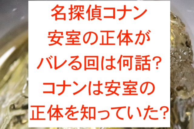 名探偵コナン安室の正体がバレる回は何話？コナンは安室の正体を知っていた？